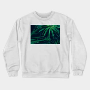 Green Leaves with a Tiny Red Beetle Crewneck Sweatshirt